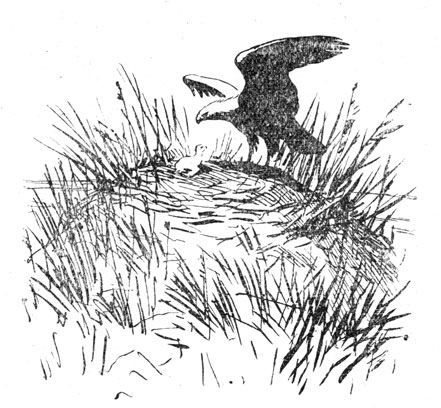 Гнездо степного орла