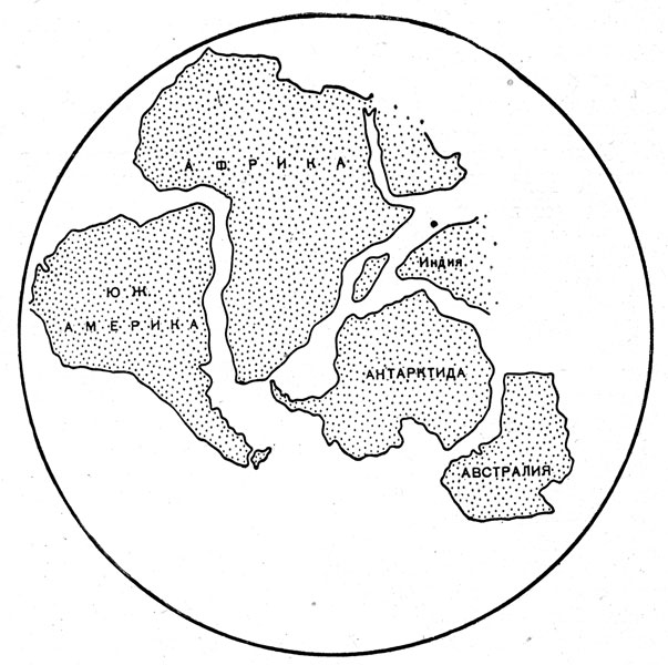 Схема расположения материковых масс Гондваны (по Дю-Тойту)