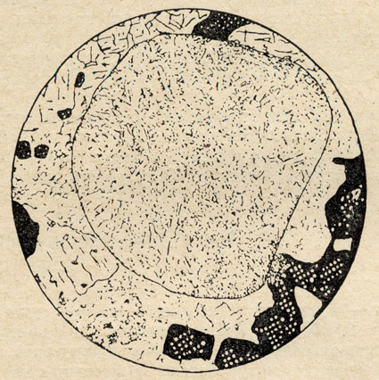 Рис. 27. Округлая, слегка деформированная хондра в метеорите 'Саратов'. Рисунок сделан под микроскопом, увеличение 47 раз (по Е. Л. Кринову)