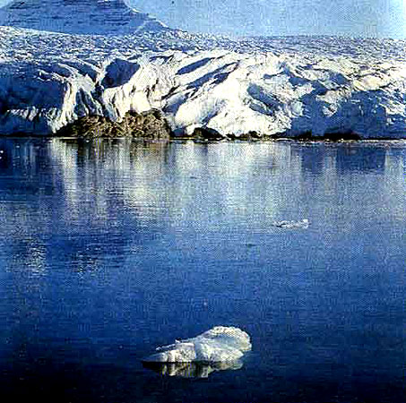 Концевой участок ледника Норденшельда.