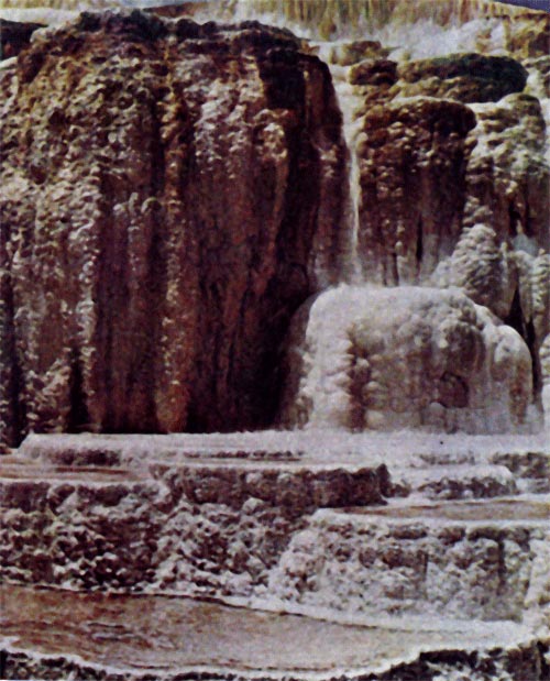 Терраса «Минерва» у Мамонтовых горячих ключей Растворенная в воде двуокись кальция, осаждаясь, образует сталагмиты и сталактиты