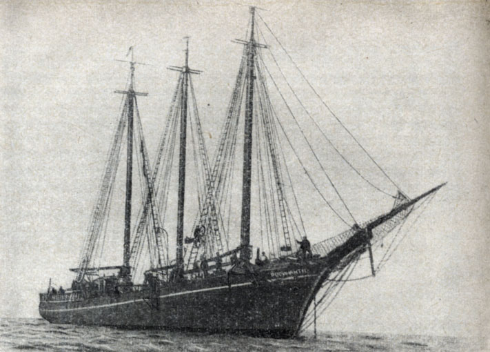 Экспедиционное судно «Росинант»