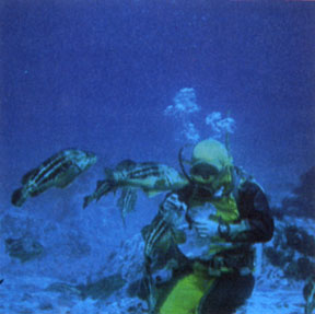 Исследования под водой