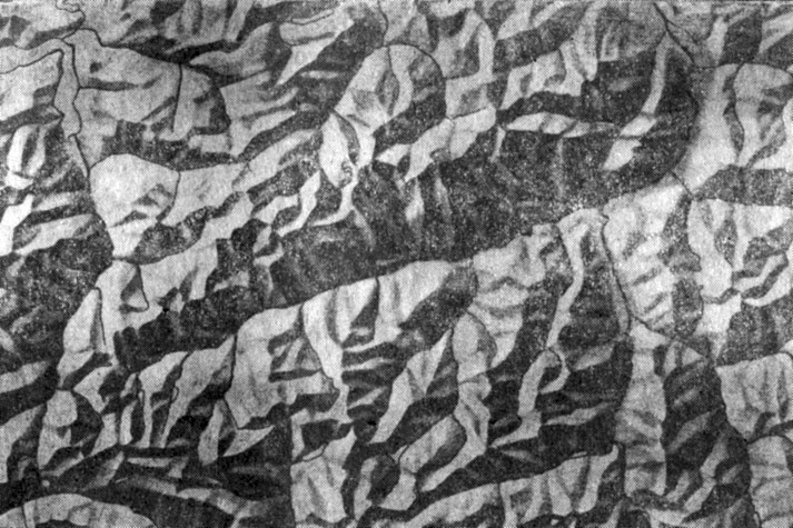 Рис. 4.6.  Изображение рельефа  отмывкой  при косом  северо-западном освещении   (по национальному   Атласу   Швейцарии, вып. I, 1965 г.)