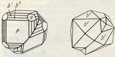 Рис. 63. Двойники кристаллов самородной меди по (111), р {100}, а {111}, b1 {110}, b2 {210}