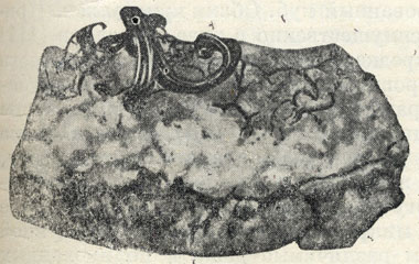 Рис. 67. Самородное серебро в закрученных проволочных и волосовидных формах на кальците