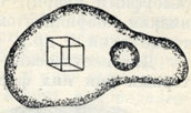 Рис. 190. Газовый пузырек и кристаллик галита в капельке жидкости, включенной в кварц