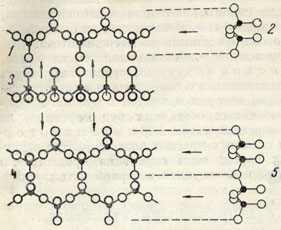 Рис. 312. Кремнекислородные цепочки в трех проекциях (в пироксенах: 1, 2 и 3 и в амфиболах: 4, 5 и S)