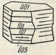 Рис. 336 Кристалл пеннина,сдвойникованный по хлоритовому закону
