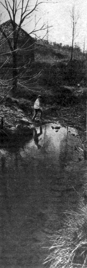 Мертвый ручей, вода в котором отравлена отходами местных шахт