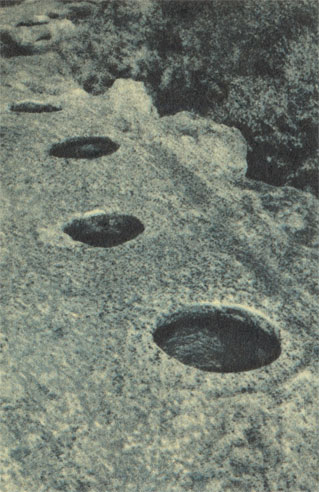 Рис. 49. Зерновые ямы, высеченные в известняковом массиве. Пещерный город Эски-Кермен