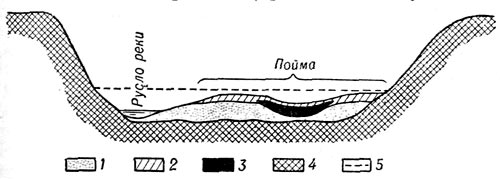 Схема строения равнинной реки. 1 - русловой аллювий, 2 - пойменный аллювий, 3 - старичный аллювий, 4 - коренные породы склонов и дна речной долины, 5 - уровень воды во время половодья.