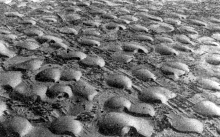 Подвижные барханные пески Кызылкум. Кара-Калпакская АССР